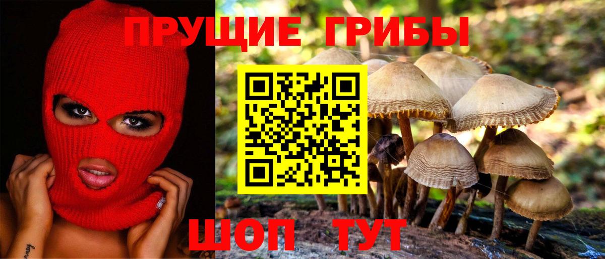 Можга  где найти наркотики  Вход с VPN  Галлюциногенные грибы ЛСД 