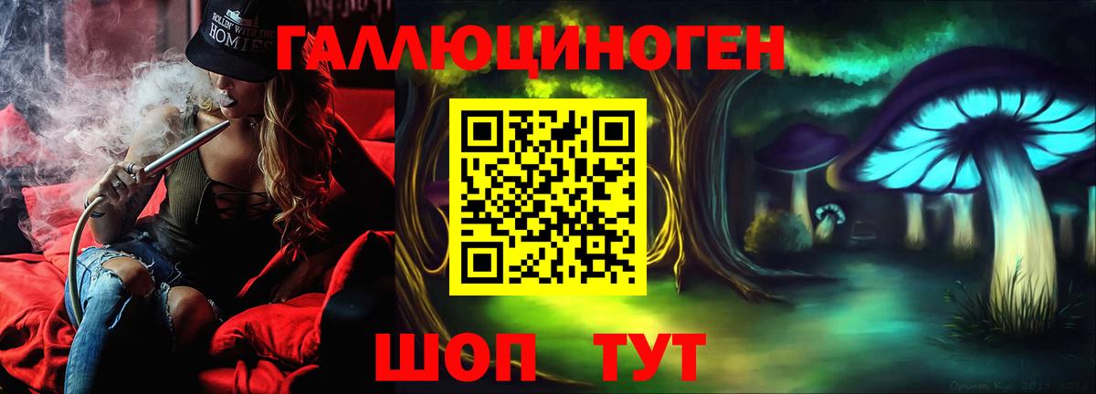 Галлюциногенные грибы Psilocybe Можга